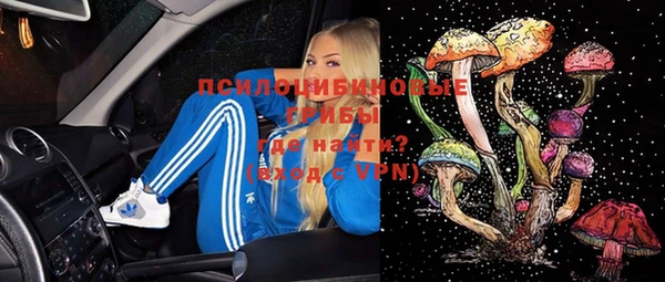 соль ск Краснослободск