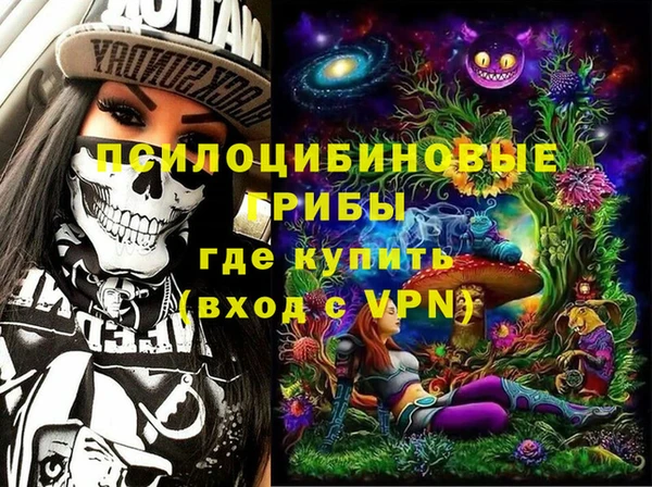 стафф Семилуки