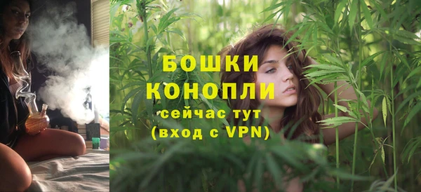 стафф Семилуки