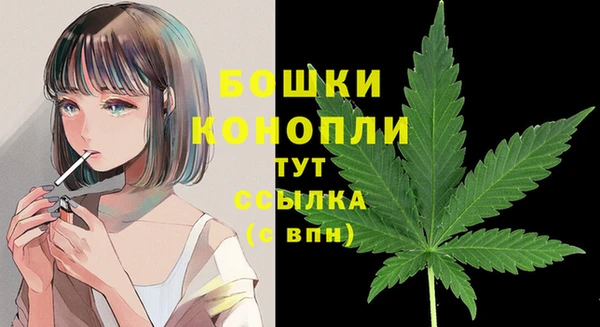 индика Козельск