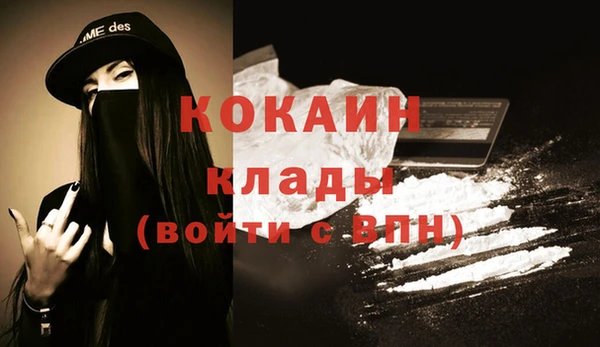 стафф Семилуки