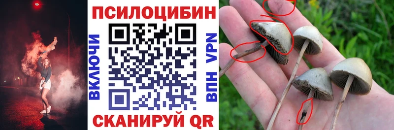 Псилоцибиновые грибы MAGIC MUSHROOMS  Кинешма 