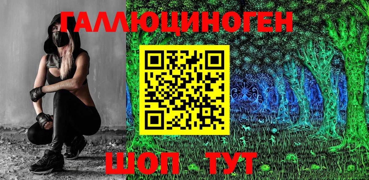 Псилоцибиновые грибы Psilocybine cubensis Кинешма