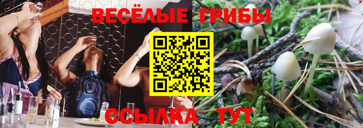Псилоцибиновые грибы Cubensis  Вход с VPN  Кинешма  Галлюциногенные грибы Psilocybine cubensis 