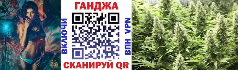 Бошки Шишки план  Кинешма 